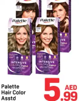 Day To Day PALETTE Hair Colour offer