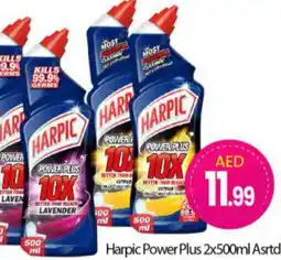 Bigmart HARPIC Toilet / Drain Cleaner offer