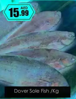 Amber Dover sole fish offer
