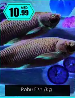 Amber Rohu fish offer