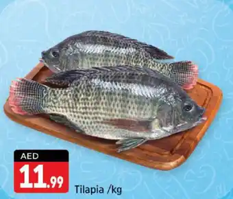 Shaklan Tilapia offer