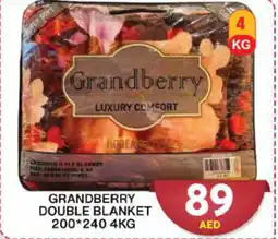Grand Hyper Market Grandberry Double Blanket offer