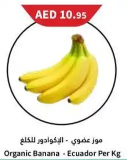 Almaya supermarket Organic Banana offer