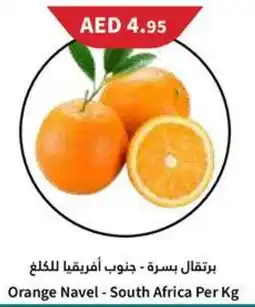 Almaya supermarket Orange Navel offer
