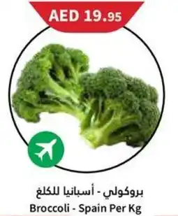 Almaya supermarket Broccoli offer