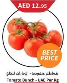 Almaya supermarket Tomato Bunch offer
