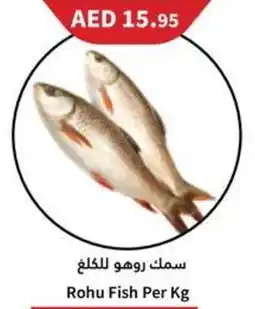 Almaya supermarket Rohu Fish offer