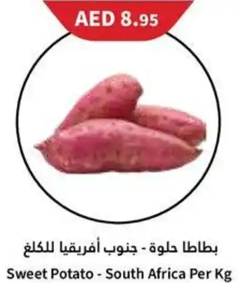 Almaya supermarket Sweet Potato offer