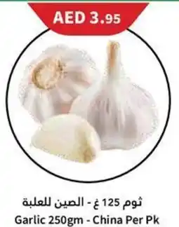 Almaya supermarket Garlic offer