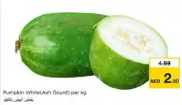 Nesto Pumpkin White offer