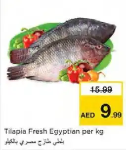 Nesto Tilapia Fresh Egyptian offer