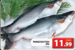Grand Hyper Market Pangush fish offer