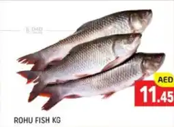 Al Madina Rohu fish offer