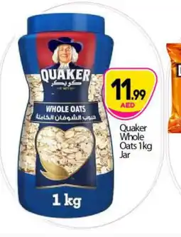 Bigmart QUAKER Oats offer
