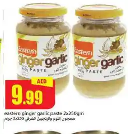 Rawabi Market EASTERN Garlic Paste offer