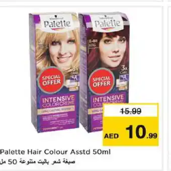 Nesto PALETTE Hair Colour offer