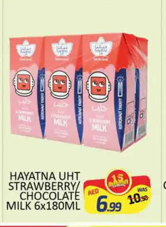 Al Madina HAYATNA Long Life / UHT Milk offer