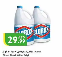 Istanbul Supermarket CLOROX Bleach offer