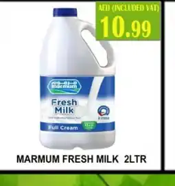 Carryone Hypermarket MARMUM Fresh Milk offer