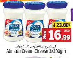 Kenz Hypermarket ALMARAI Cream Cheese offer