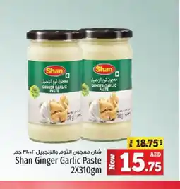 Kenz Hypermarket SHAN Garlic Paste offer
