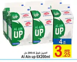 AL AIN Laban