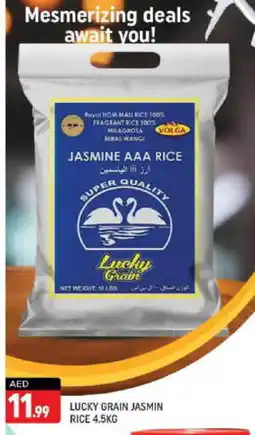 Shaklan VOLGA Jasmine Rice offer