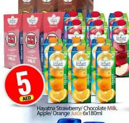 Bigmart HAYATNA Flavoured Milk offer