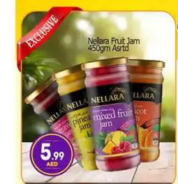 Bigmart NELLARA Jam offer