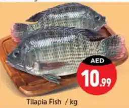 Shaklan Tilapia Fish offer