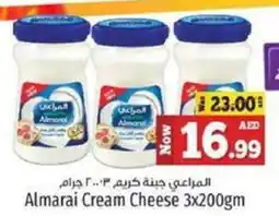 Kenz Hypermarket Almarai Cream Cheese offer