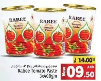 Kenz Hypermarket Rabee Tomato Paste offer