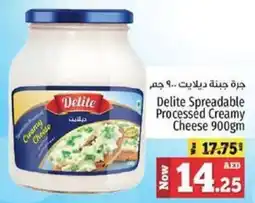 Kenz Hypermarket Delite Spreadable Processed Creamy Cheese offer