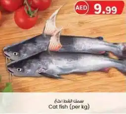 KM Trading Cat fish offer