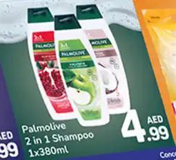 Day To Day Palmolive 2 in 1 shampoo offer