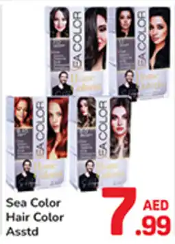 Day To Day Sea color hair color asstd offer