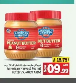 Kenz Hypermarket AMERICAN HARVEST Peanut Butter offer