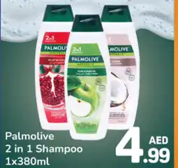 Day To Day Palmolive 2 in 1 Shampoo offer