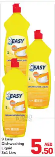 Day To Day 9 Easy Dishwashing Liquid offer