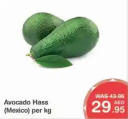 Choithrams Avocado Hass offer