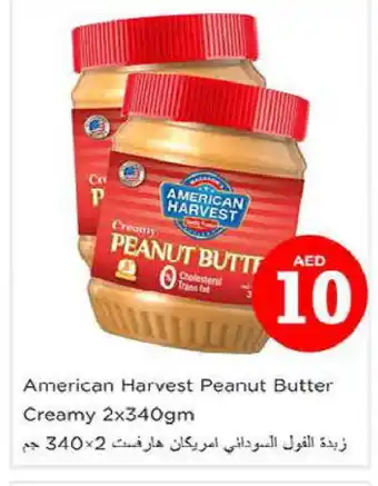 Nesto AMERICAN HARVEST Peanut Butter offer