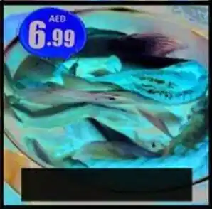 Amber Salmon Belly offer