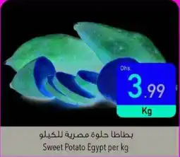 Safeer Market Sweet Potato Egypt offer