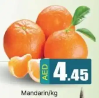 Al Madina Mandarin offer