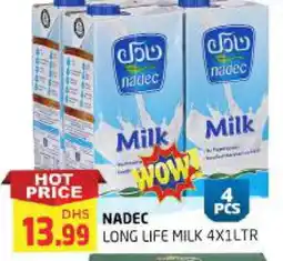 Al Madina NADEC Long Life / UHT Milk offer