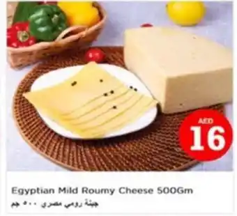 Nesto Egyptian Mild Roumy Cheese offer