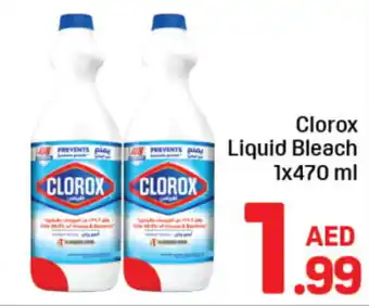 Day To Day Clorox liquid bleach offer