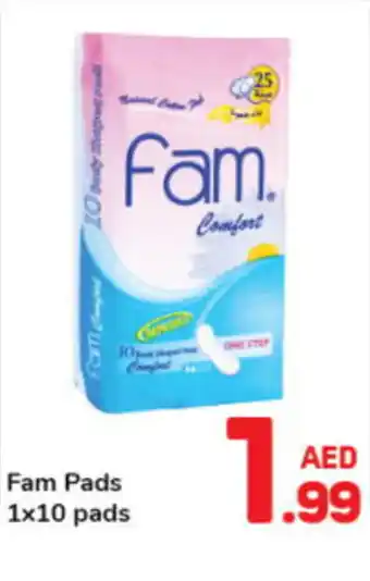 Day To Day Fam pads offer