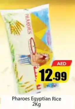 Amber Pharoes Egyptian Rice offer