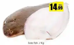 Amber Sole Fish offer